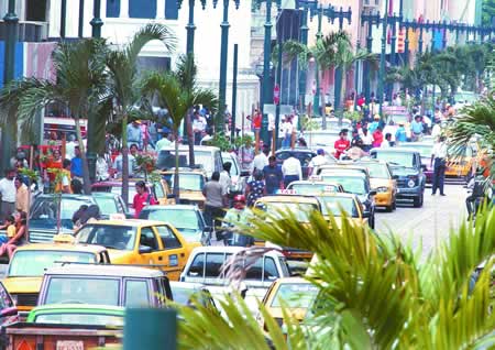Palmeras y amplias veredas adornan a lo largo de la avenida Nueve de Octubre, la que ser peatonal los das festivos que determine el Municipio de Guayaquil. Al momento hay caos vehicular.
