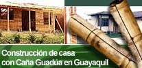 Guadua house construction in Guayaquil